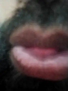 Snapshot of hyderabad_single chatting on 11-24-25, 12:38 hyderabad single online show from 11-24-25, 12:38