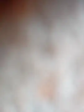 Tayanehot online show from 12-02-25, 09:14