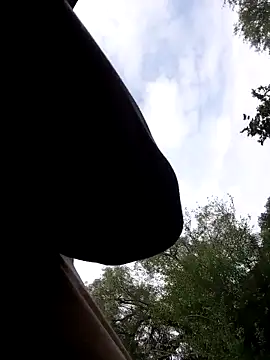 Snapshot of Mc02 chatting on 11-11-25, 12:38 Mc02 online show from 11-11-25, 12:38