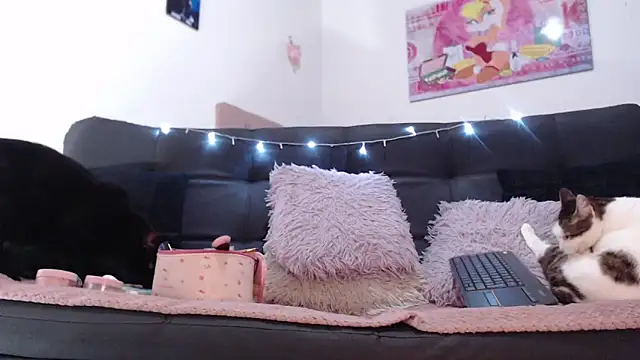 valery carter01 online show from 02-17-26, 06:36