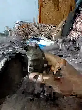 spermc online show from 02-06-26, 04:10