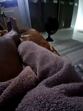 krett65 online show from 12-05-25, 01:03