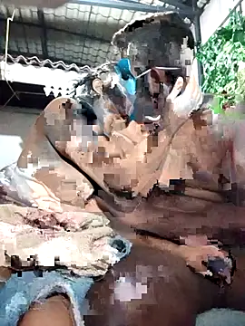 chathu danu online show from 12-01-25, 09:53