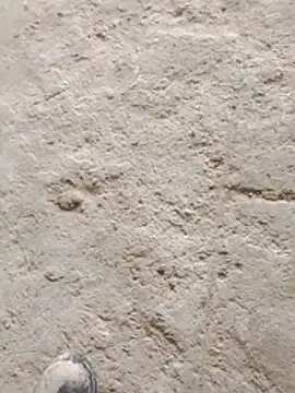 Paugostoso270515 online show from 03-24-26, 04:12