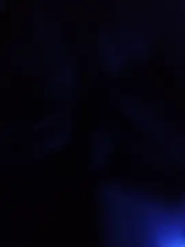 starnighcouple online show from 07-10-26, 07:38