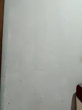 moreninhazinha online show from 03-11-26, 05:41