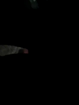 Claudioxavier2 online show from 07-07-26, 04:37