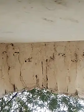 Xxx suhana online show from 11-27-25, 07:54