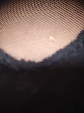 Snapshot of AnaMaria-12 chatting on 12-17-25, 05:19 AnaMaria-12 online show from 12-17-25, 05:19