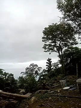 nangmo online show from 04-23-26, 11:09