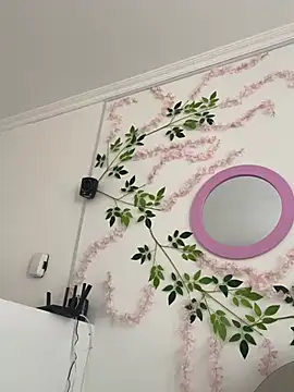 SOL EF online show from 03-10-26, 08:47