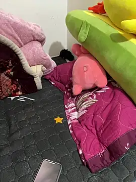 Snapshot of Hong8999 chatting on 12-04-25, 08:34 Hong8999 online show from 12-04-25, 08:34