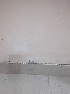 Alli8900 online show from 03-19-26, 04:11