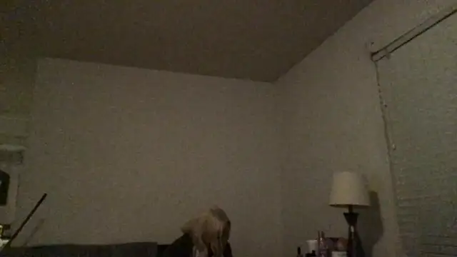 Snapshot of Babyboobabybye08 chatting on 03-06-26, 11:17 Babyboobabybye08 online show from 03-06-26, 11:17