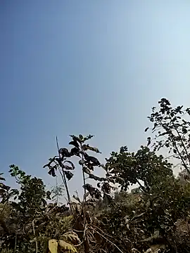 88zaifkhan88 online show from 01-14-26, 05:13