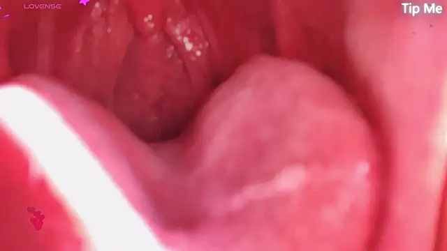 LT-333 online show from 04-22-26, 02:58