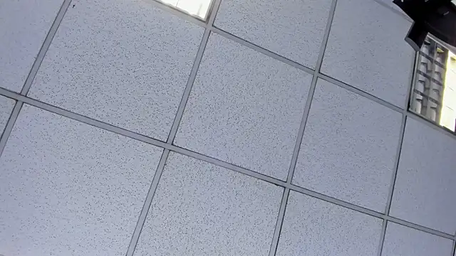 Alyssa Noah online show from 04-21-26, 02:51