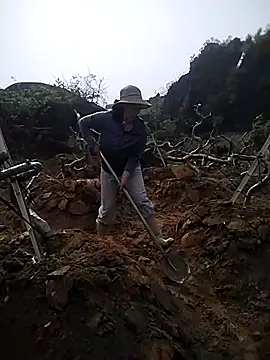 Alibabapi online show from 03-26-26, 02:28