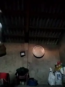 Snapshot of LeoPet2x chatting on 12-15-25, 09:46 LeoPet2x online show from 12-15-25, 09:46