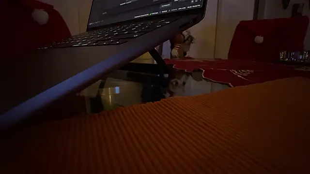 AndyLD20x6 online show from 12-03-25, 11:14