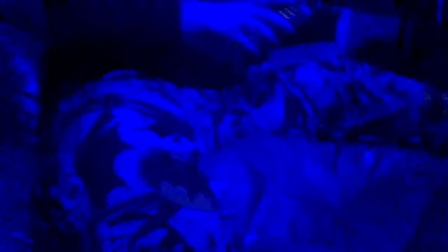 joshbrown699 online show from 11-30-25, 05:11