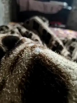 Snapshot of Mahi-Aman chatting on 12-05-25, 02:42 Mahi-Aman online show from 12-05-25, 02:42