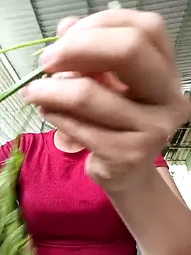 Pretty-haert online show from 04-15-26, 02:51