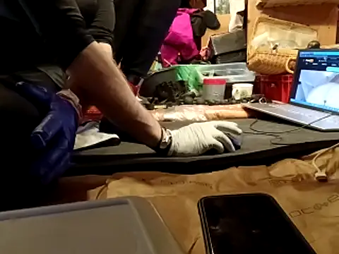 laaralatexxa BDSM online show from 03-13-26, 04:08