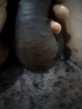 Piazza21 online show from 02-11-26, 04:50