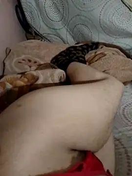 Almas-arabic online show from 04-20-26, 11:39