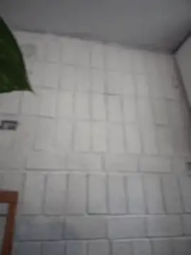 LuXarumi online show from 12-16-25, 07:52