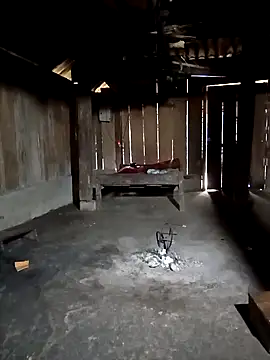 ava-dellght online show from 02-03-26, 06:40