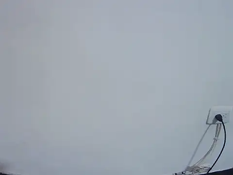 Fernanda andrew online show from 02-24-26, 04:49