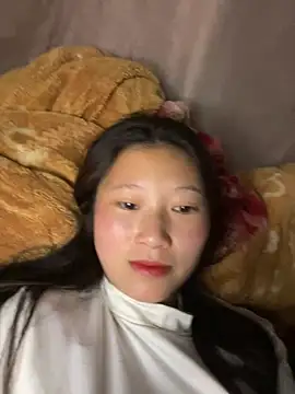 Snapshot of vero-obc chatting on 03-11-26, 11:33 vero-obc online show from 03-11-26, 11:33