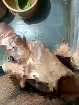 xhanm online show from 04-29-26, 05:41