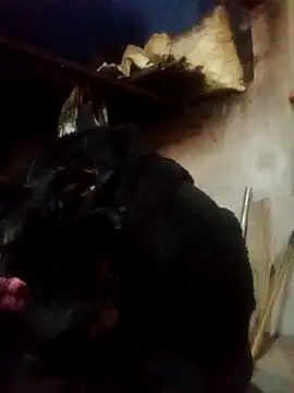 Amiluli online show from 03-02-26, 12:23