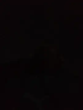 Andreskelly online show from 04-22-26, 12:35