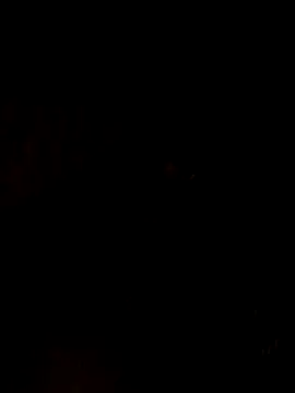 nehakapoor89 online show from 12-14-25, 07:40