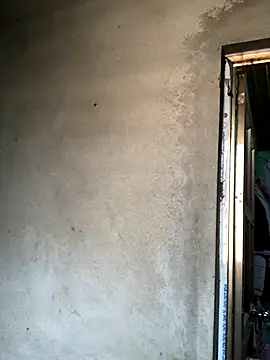 Pege-nii online show from 12-19-25, 06:20