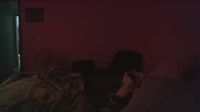 Snapshot of dixielover1229 chatting on 12-16-25, 04:06 dixielover1229 online show from 12-16-25, 04:06