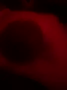 DaveeeIsTheone online show from 02-15-26, 08:02