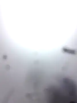 M8ygcthf3 online show from 03-08-26, 07:28