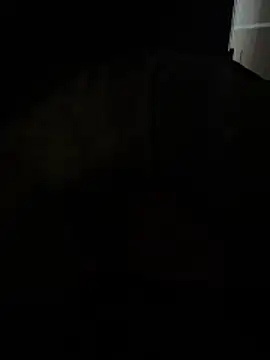 Snapshot of daniele1982 chatting on 12-15-25, 04:44 daniele1982 online show from 12-15-25, 04:44