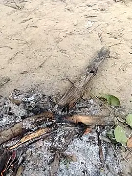 Snapshot of rahulsexybhabhi chatting on 12-18-25, 05:02 rahulsexybhabhi online show from 12-18-25, 05:02