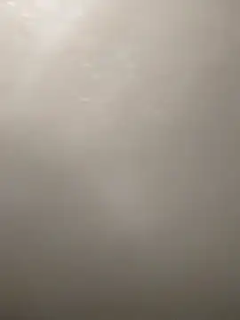 Camellia-Pink online show from 03-16-26, 06:17