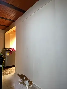 Noxveeltt online show from 04-01-26, 06:16