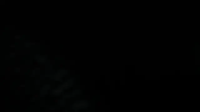 Dante Bellini online show from 06-03-26, 02:55