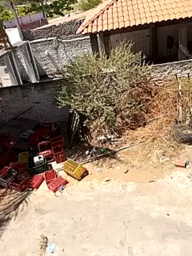 Snapshot of _-_-_bucetuda____ chatting on 12-18-25, 03:40 - - bucetuda online show from 12-18-25, 03:40