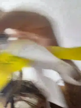 jinx candy online show from 02-01-26, 04:33