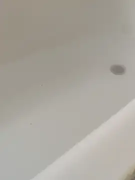 Mm7oon nek online show from 04-02-26, 08:50